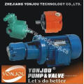 Small Cycloid Gear Oil Pump with Motor Drive